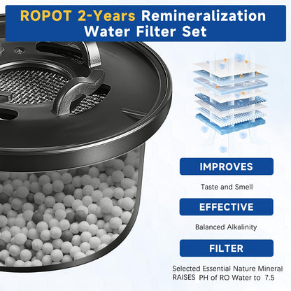 ROPOT Replacement Filter Compatible with Bluevua RO100ROPOT RO100ROPOT-UV Alkaline Mineral Remineralization Filter (4 Pack)