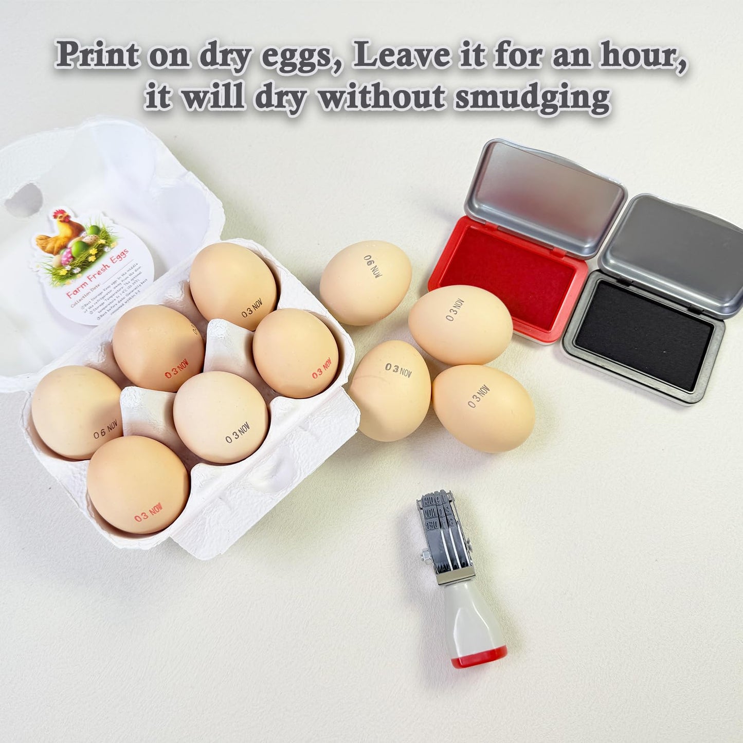 Aunewrick Egg Dater Kit, Date Stamp, 2 Fade-Resistant Inks (Red & Black), Stamper Pad, 50 Farm Fresh Eggs Instructions, for Chicken Duck Turkey Goose Eggs