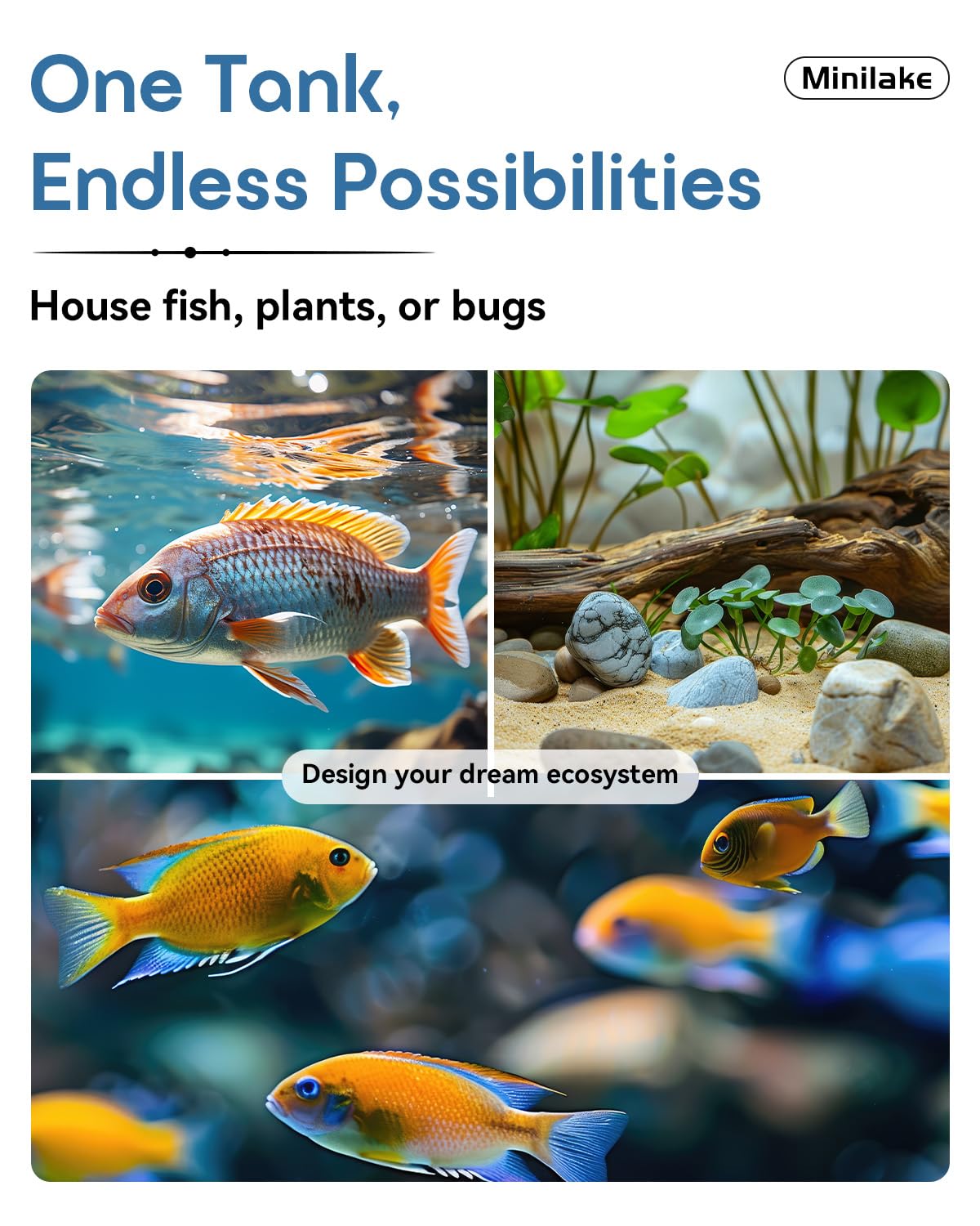Glass Fish Tank Kit, 5 Gallon Betta Fish Tank Aquarium Starter Kit with Filter, Lights, Lid, for Betta, Goldfish, Small Fish or shrimg