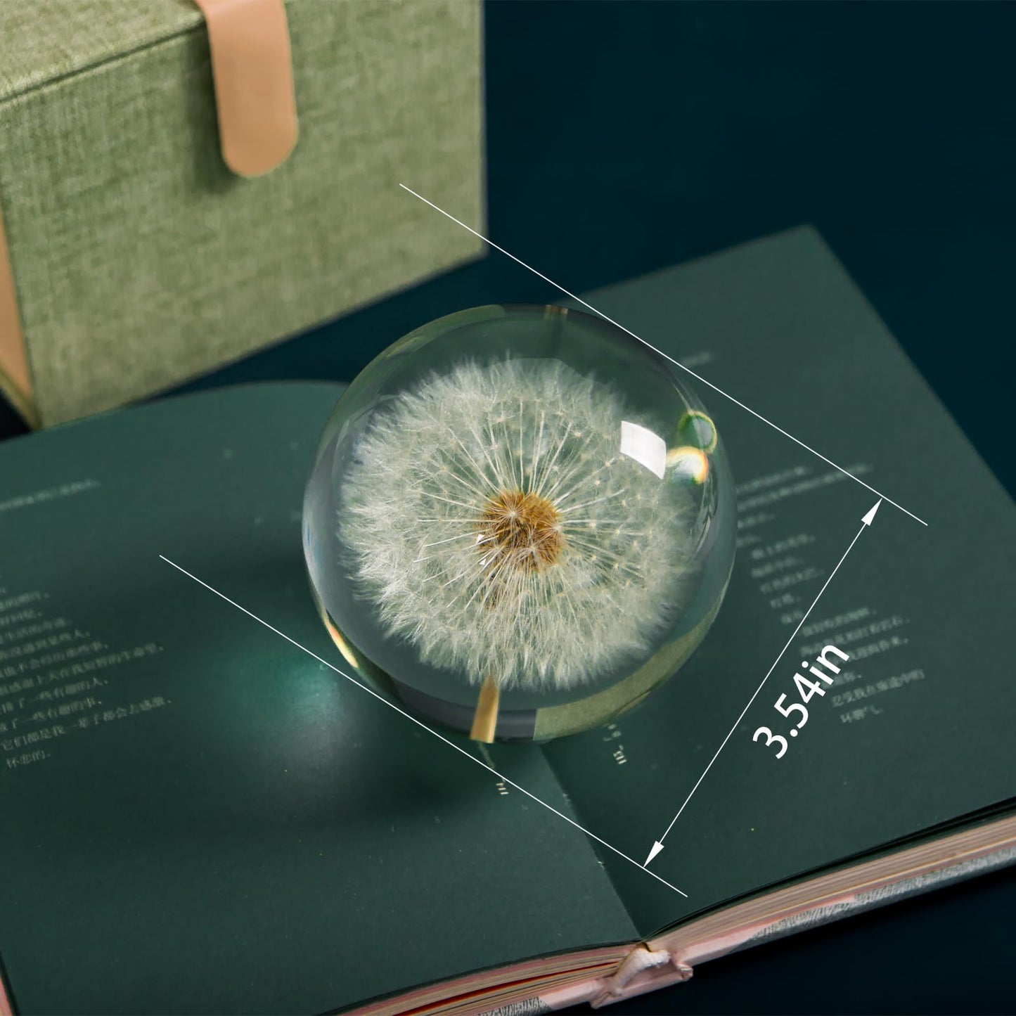 Paperweight Dandelion Dream Ball. Crystal Wishing Ball. Unique Paperweight Made of Dandelion. Gift for Women Men (Mom, Dad, Teacher), Birthday, Wedding, Valentine's Mother's. (9CM)