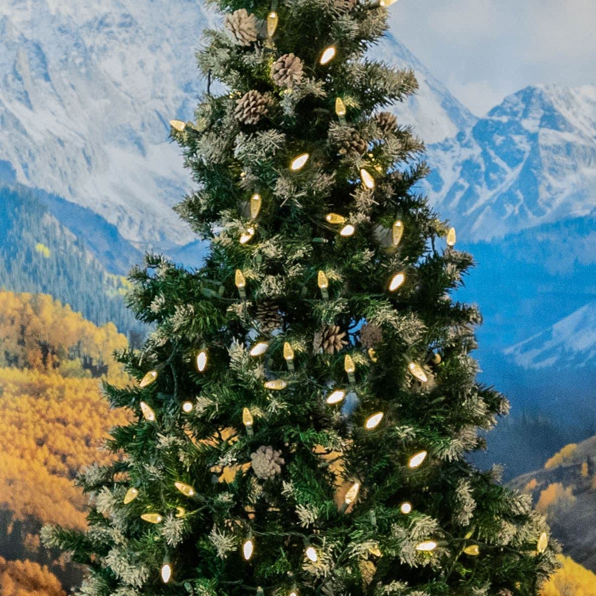 Novelty Lights 24FT 70 LED C6 Christmas String Lights, Outdoor Tree Commercial Grade LED Lights, Permanent Christmas Decorations (Warm White)