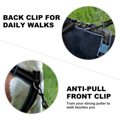 Plutus Pet No Pull Dog Harness, Adjustable Nylon Harness with Soft Padding, Reflective and Heavy Duty Dog Harness for Small, Medium, Large Dogs(Black, M)