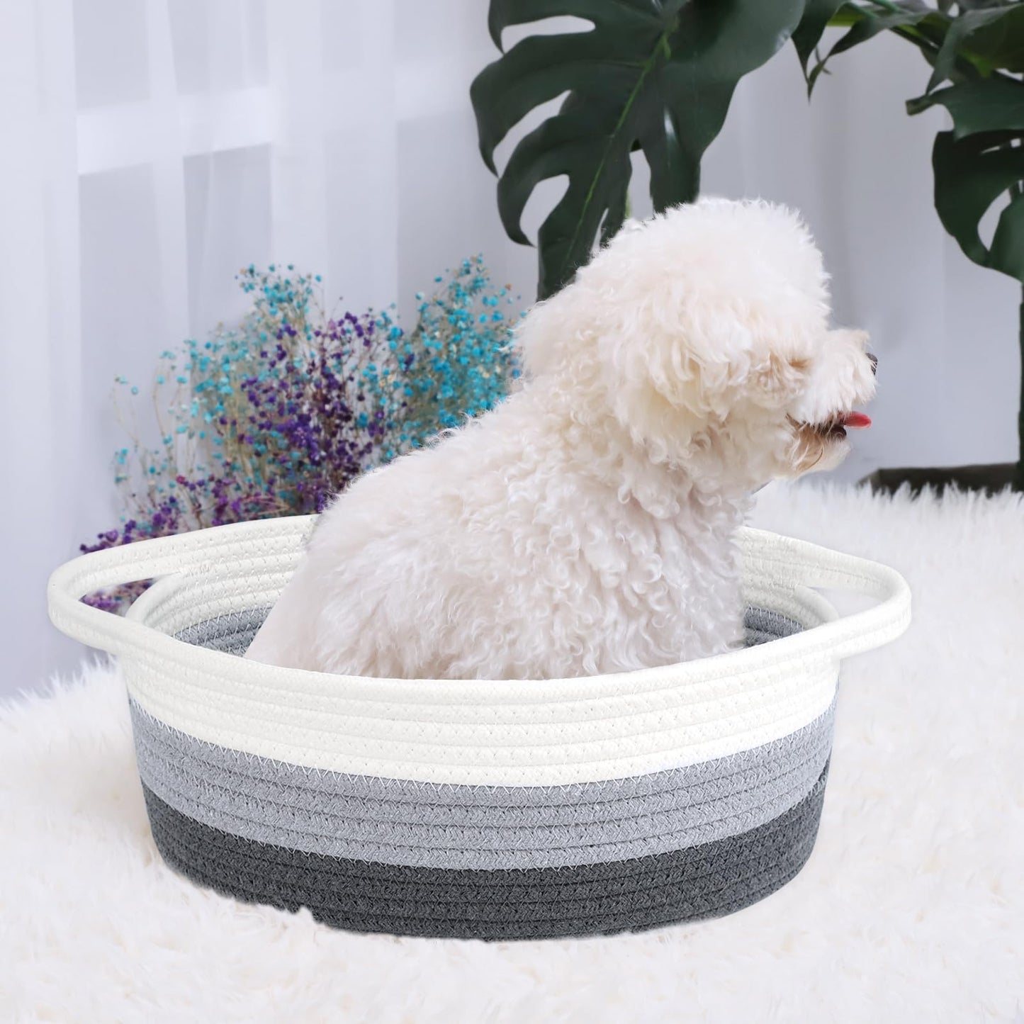 ABenkle Small Basket with Handles, Boho Decorative Rope Woven Dog Cat Toy Storage Bin Shelf Storage Organizer, Easter Christmas Gift Basket, 12"x8"x5"