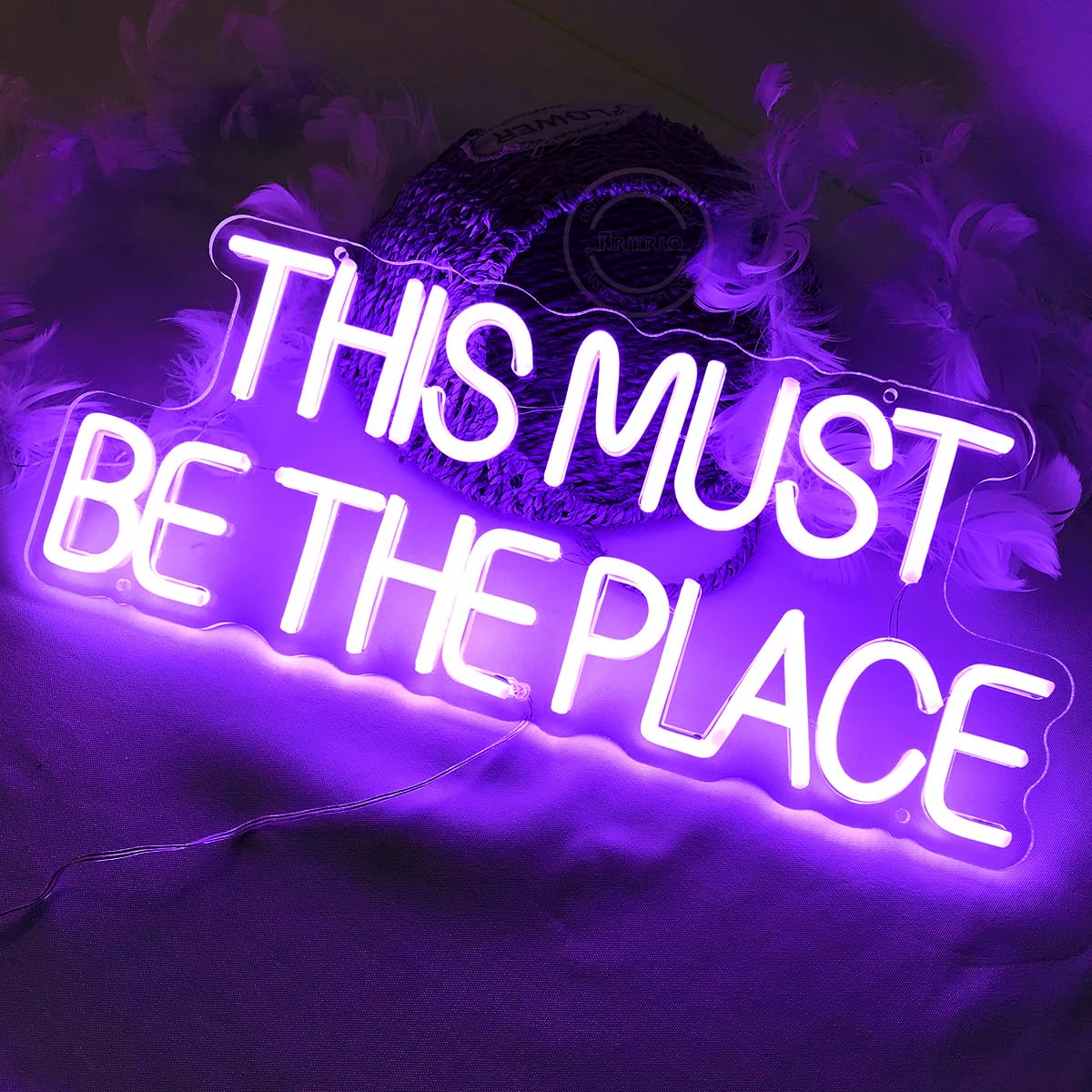 Britrio This Must Be The Place Neon Sign Light Gothic Wedding Birthday Party Decor Girl Bedroom LED Wall Art Decor Home Bar Office Christmas Light 5V USB