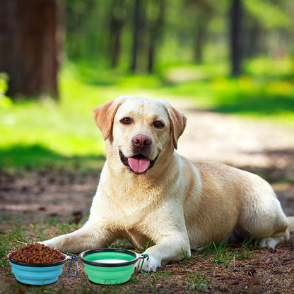 SLSON Collapsible Bowl with Cover Lids,2 Pack Dog Travel Bowls Portable Foldable Cat Water Dish Bowl for Pets Walking Parking Camping (Light Blue and Green, Small)