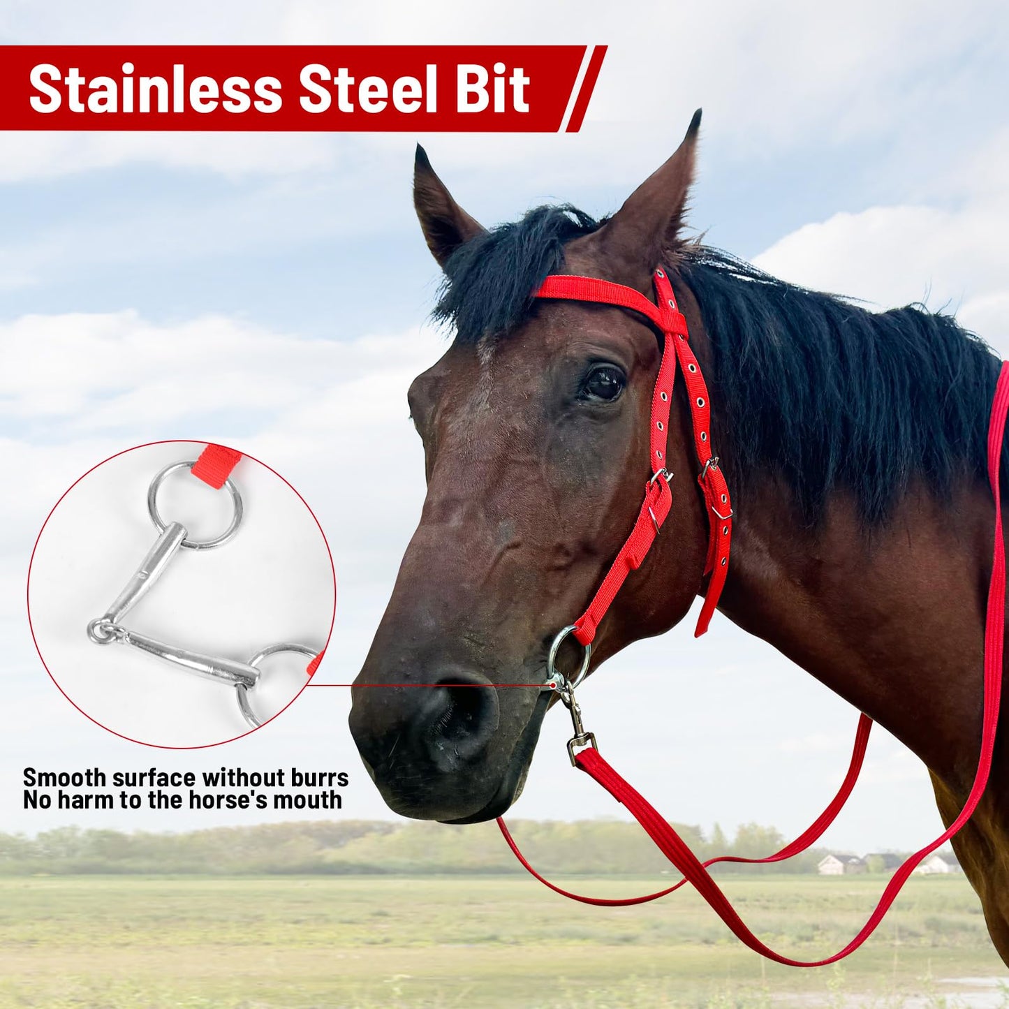 BIGANTTOW Adjustable Horse Bridle with Stainless Steel Bit, Black Nylon Headstall with Reins, Horse Bridles with Bit Non-Slip Design (Blue, L)