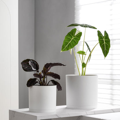 FaithLand 10-Inch Modern Cylinder Planter, Thick-Walled Plastic Plant Pot with Drainage Holes and Detachable Saucer, Matte White, Ideal for Indoor & Outdoor Plants Flowers