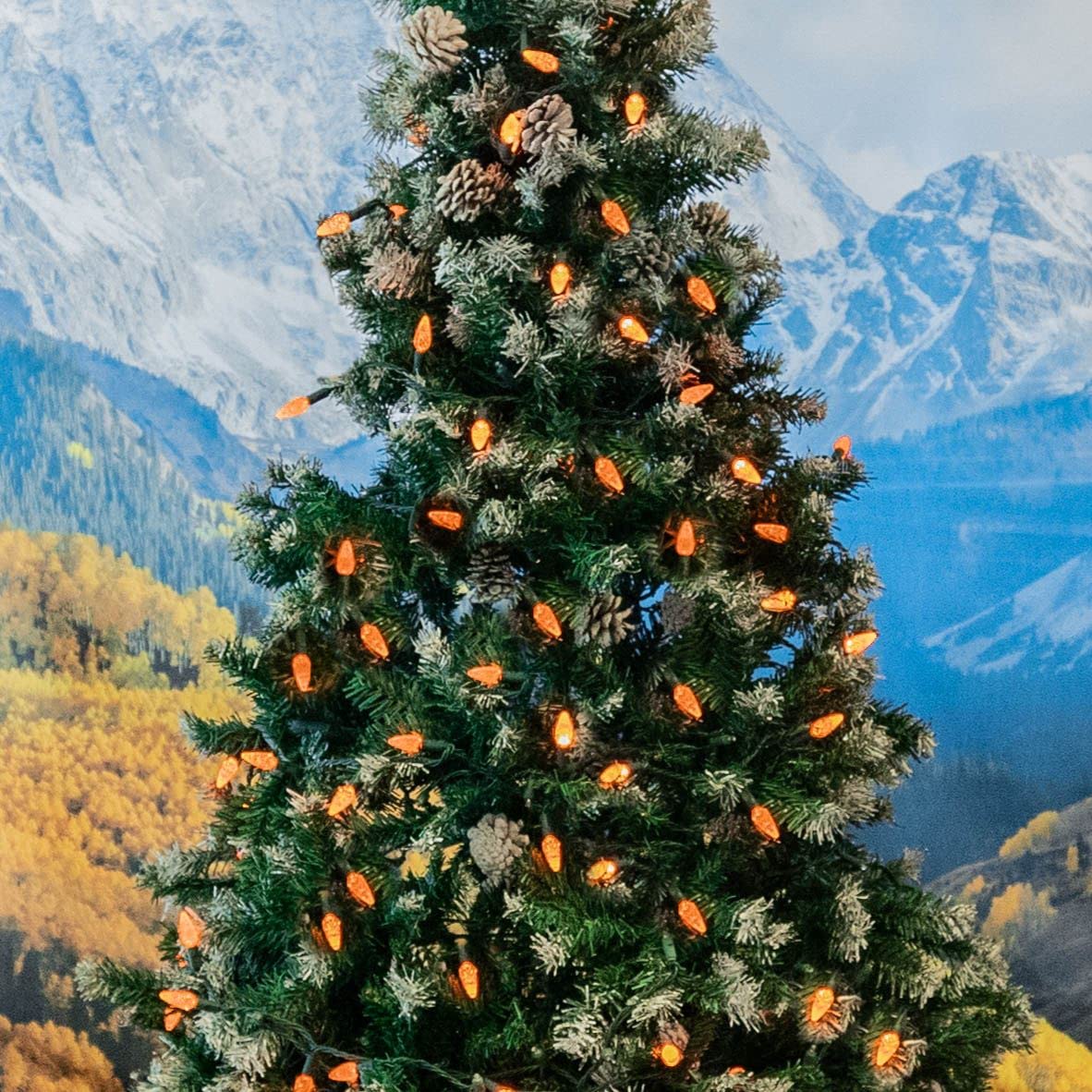 Novelty Lights 24FT 70 LED C6 LED Halloween String Lights, Outdoor Christmas Tree Commercial Grade LED String Lights, Permanent Christmas Lights Tree Decorations (Orange)