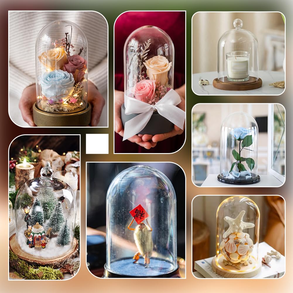AHANDMAKER Acrylic Display Dome Case Cloche Globe, 9.3 x 13.5cm Black Base Crystal Dome Bell Jar Display Case for Figures Flowers Plants Bouquets Photos Tabletop Wedding Decorations
