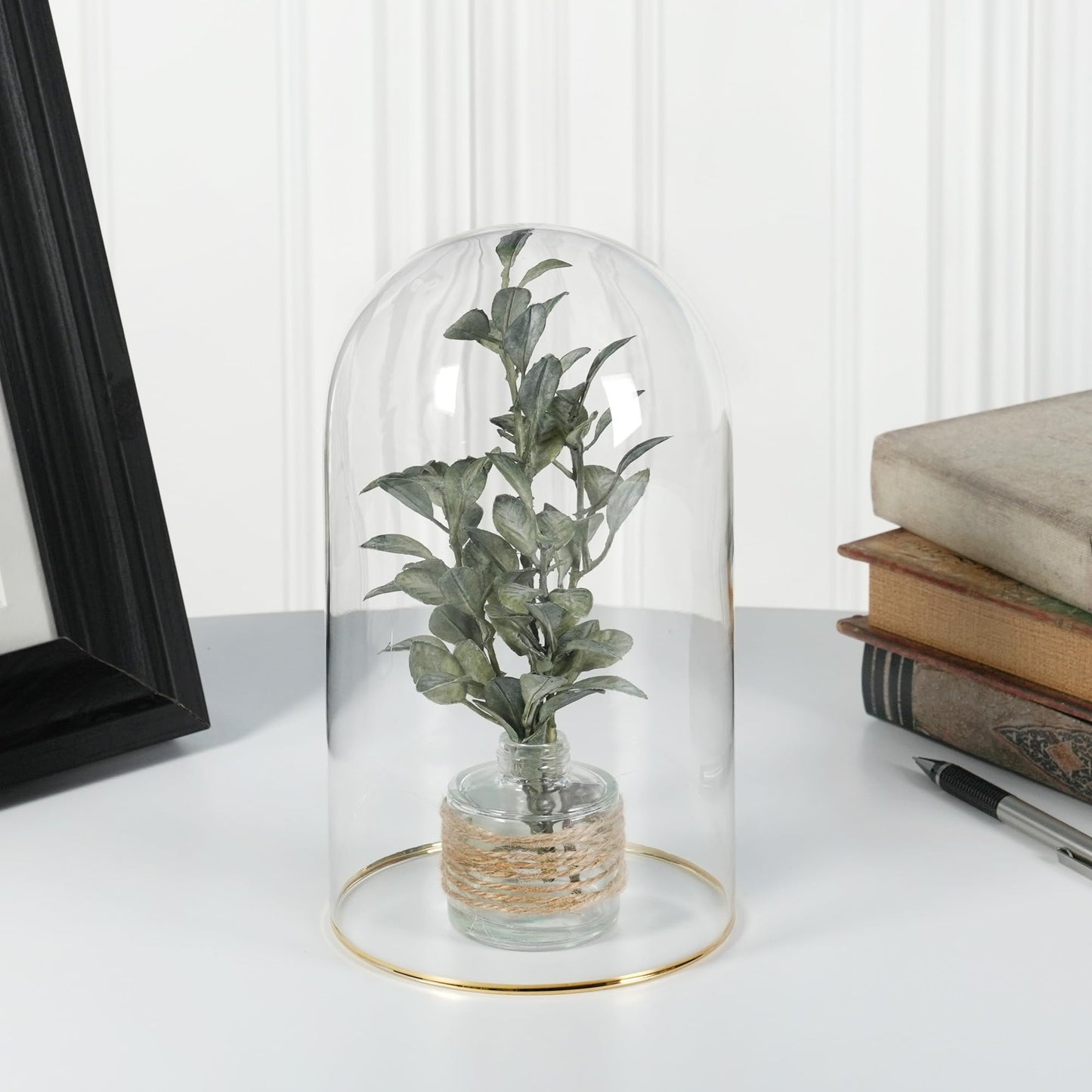 Plymor 4.5" x 8" Glass Display Dome Cloche with Gold Rim (no Base)