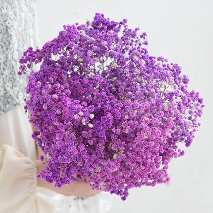 Dried Baby's Breath Bouquet - 17 Inch 1800+ Purple Dry Flowers, Natural Gypsophila Branches for Wedding, Table Vase Decor, DIY Wreath Floral, Home Office Party Garden Decoration