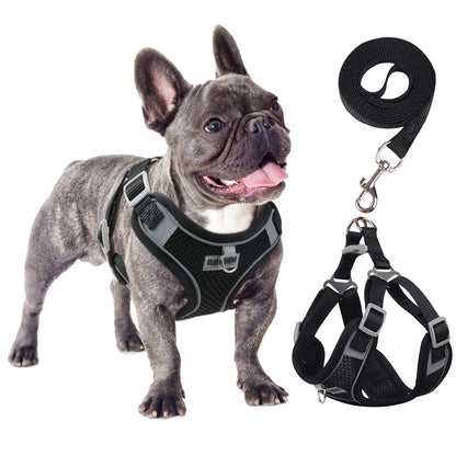 rennaio Dog Harness No Pull, Adjustable Puppy Harness with 2 Leash Clips, Ultra Breathable Padded Dog Vest Harness, Reflective Dog Harness and Leash Set for Small and Medium Dogs (Black, XL)