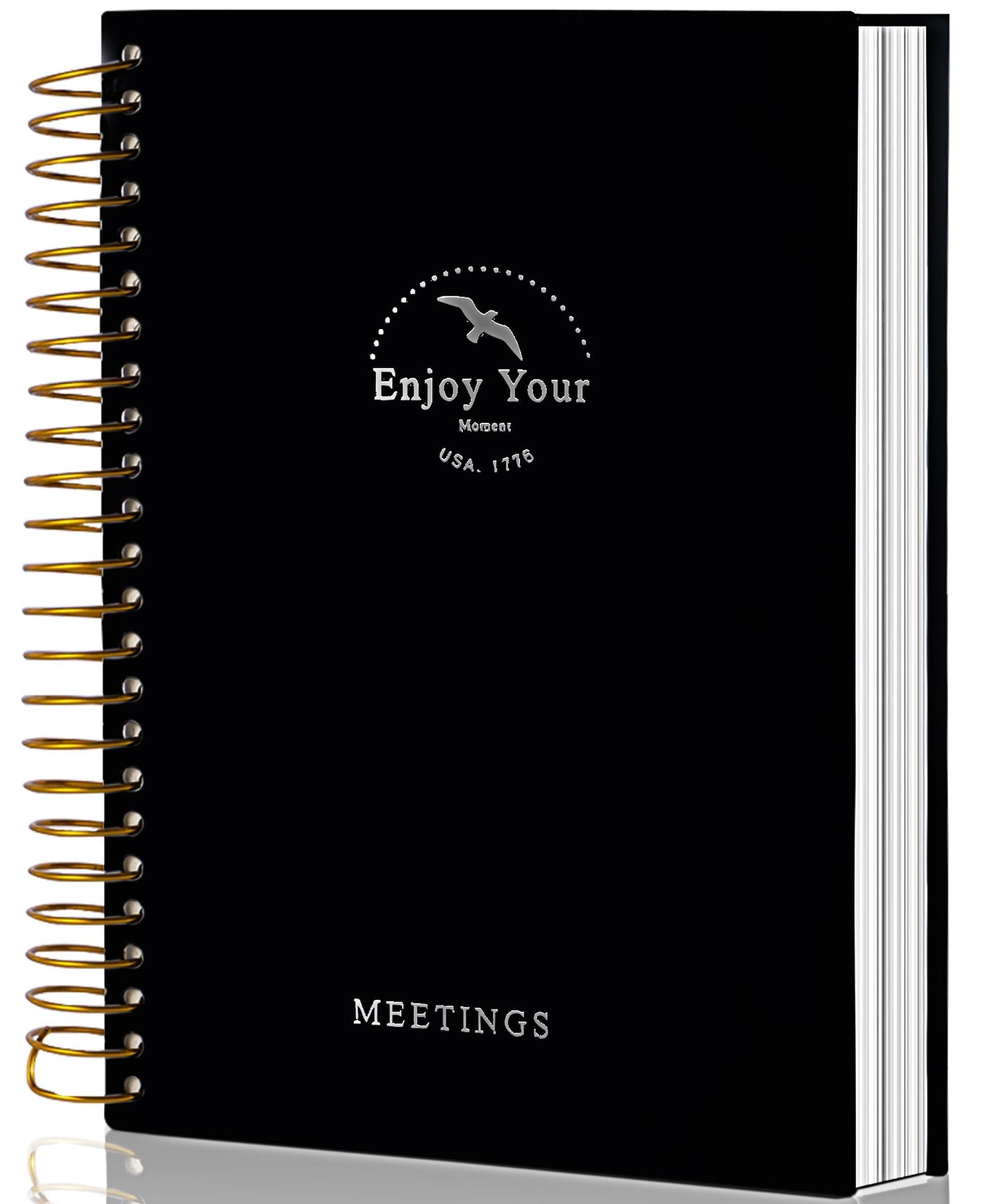 FLYING EGALE Meeting Notebook,8.5"x11" Professional Notebooks for Work - 240 Pages, A4 Size Project Planner, Spiral Meeting Agenda Organizer for Women Men, Large journal for Note Taking, Black
