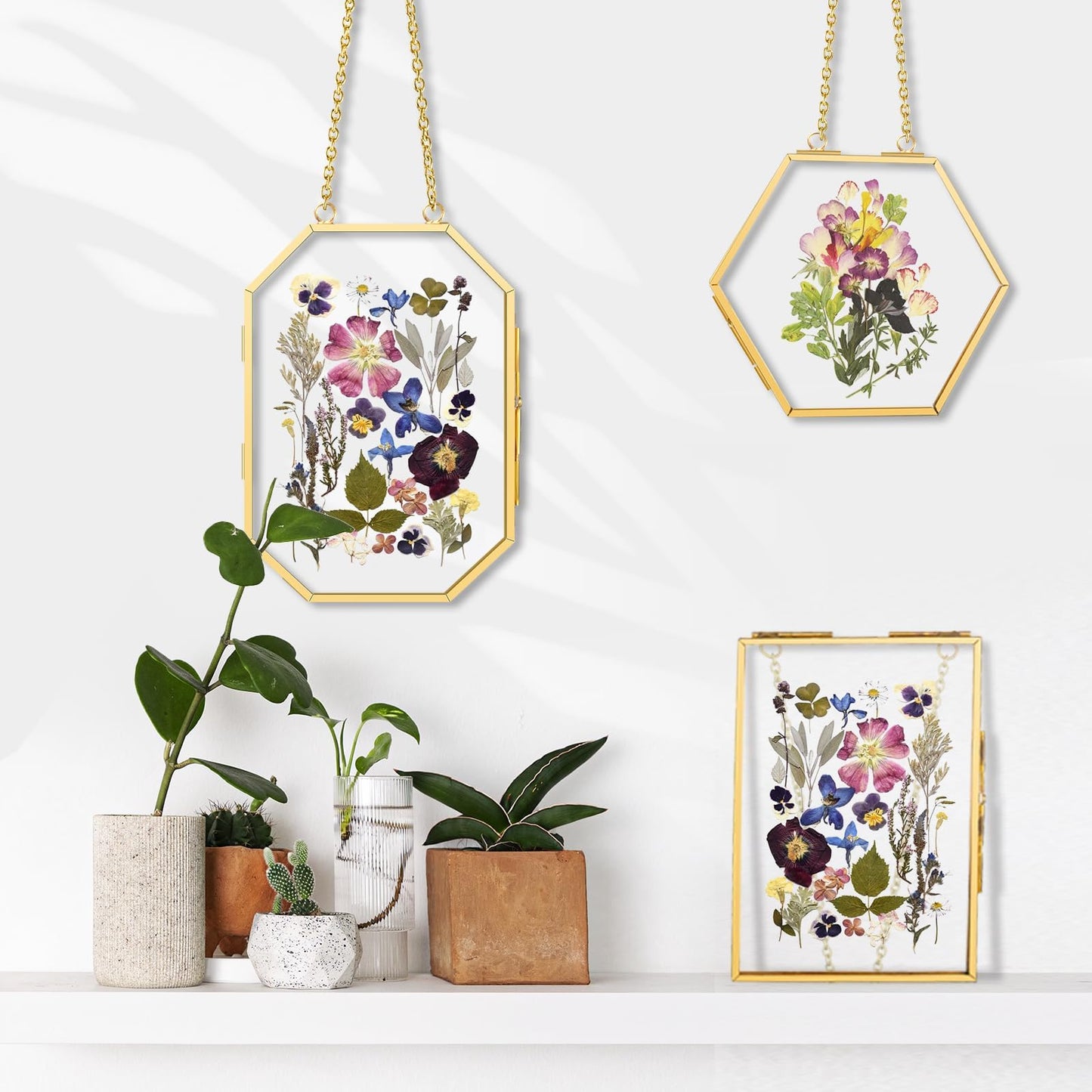 FOCHIER F 3pcs Pressed Flower Frames FC-US-Frames-T3-0108GoldHua