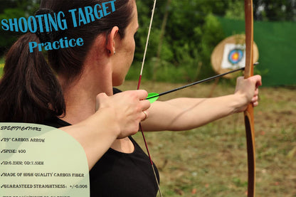 Zhao.Fu 29 Inch Carbon Arrow Practice Hunting Arrows Spine 400 with Removable Tips for Archery Compound & Recurve & Traditional Bow (12 Pcs)