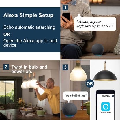 Sengled WiFi Light Bulb - Smart Bulbs That is Compatible with Google Assistant, A19 Daylight (5000K) - No Hub Required, 800LM 60W High CRI)60 Equivalent, 4 Count (Pack of 1)