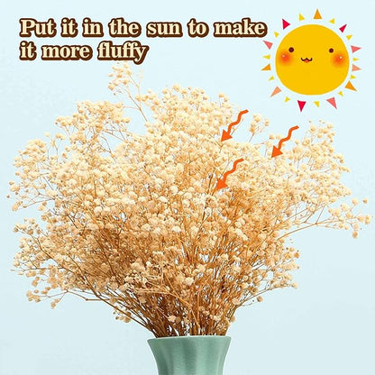 Babys Breath Dried Flowers Bouquet-17'' 3000+ Dry Flowers, Natural Gypsophila Branches for Wedding, Home Table Vase Decor, DIY Wreath Floral, Fall Thanksgiving Autumn Decoration (Ivory White, 3oz)