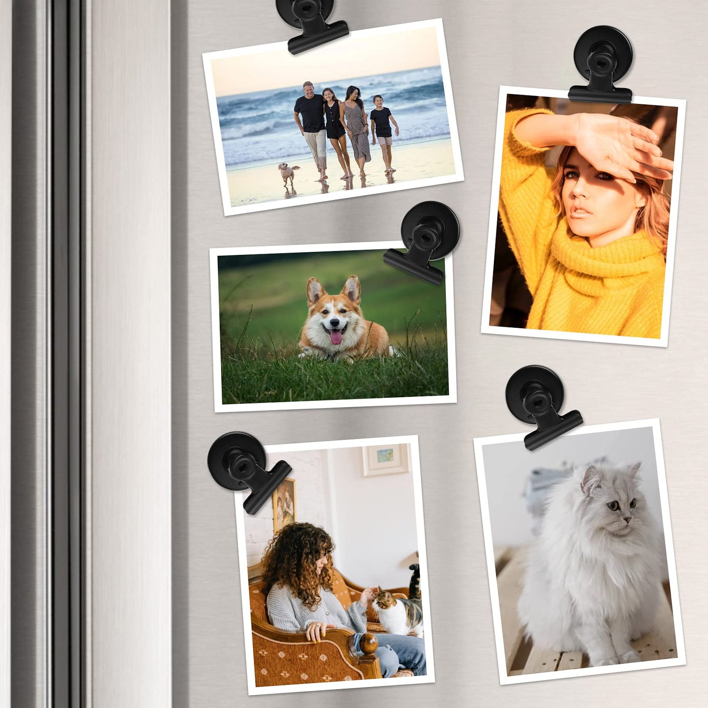 FINDMAG 20 Pack Fridge Magnets Refrigerator Magnet, Heavy Duty Refrigerator Clips, Whiteboard Magnets, Magnetic Christmas Light Clips for Whiteboard, Sculptural Picture Frame, Fridge, Kitchen, Office