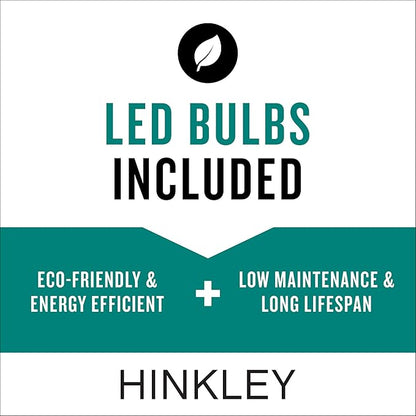 Hinkley Atlantis 15014HE-LL Small LED Low Voltage Landscape Pathway Light - 12v, Dimmable, Aluminum - Hematite