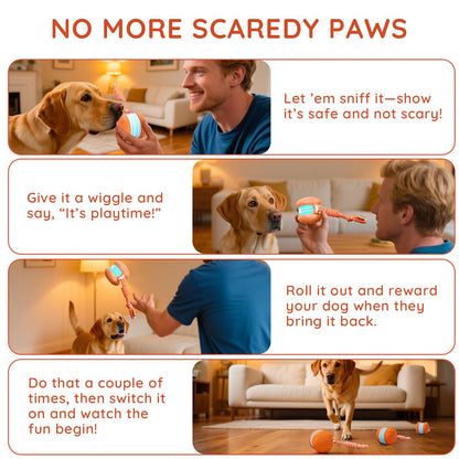 QGI Interactive Dog Toys, Random Path Electric Automatic Moving and Rolling Dogs Toy with Rope for Small Medium Large Dogs, Motion-Activated Dog Stimulation Toy for Boredom Relief (Orange)
