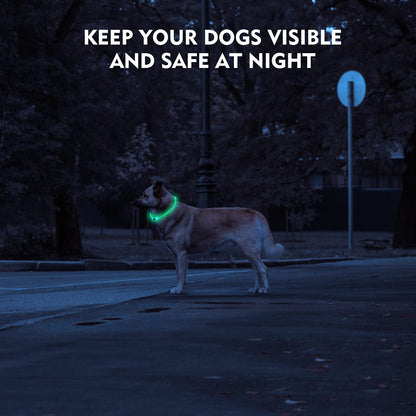 NOVKIN LED Dog Collar, Rechargeable Light Up Dog Collars,IP67 Waterproof Dog Lights for Night Walking，Adjustable, Reusable Safety Necklace for Small Medium Large Dogs (Red)