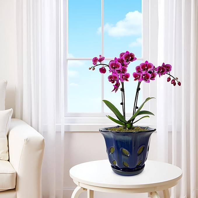Ceramic Orchid Pots with Holes 6 inch (Dark Blue)