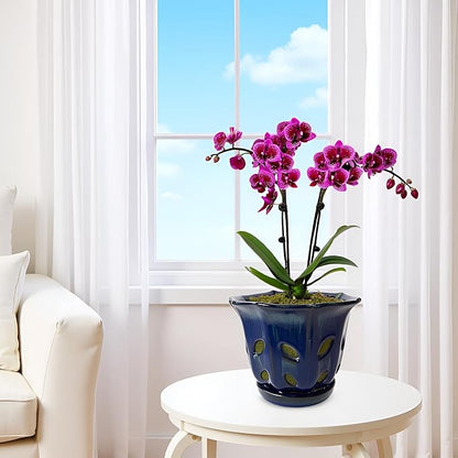Ceramic Orchid Pots with Holes 6 inch (Dark Blue)