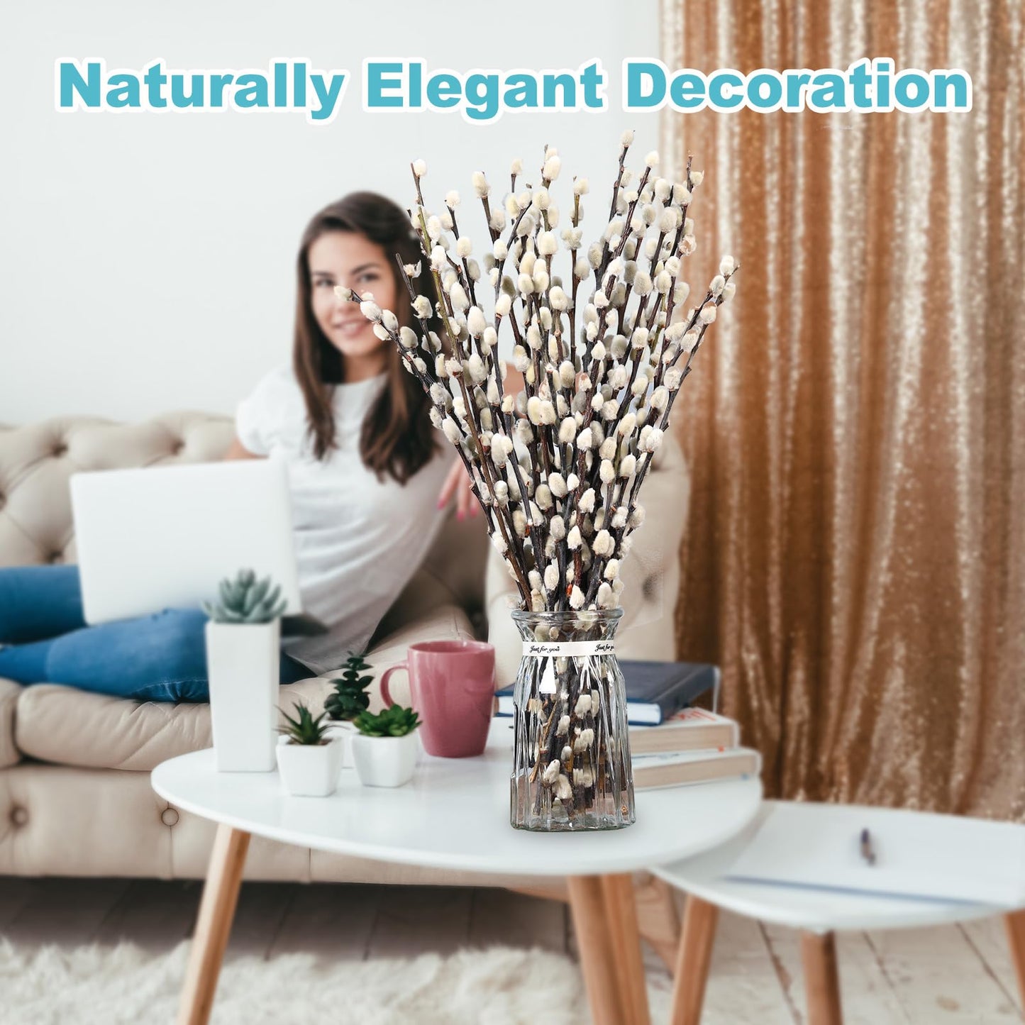 Natural Preserved Dried PussyWillow Branches for Vases, 30 Stems Real Willows, 17" Snow Pussywillows, Dried Flowers for Indoor and Outdoor Decor, Wedding Home DIY Floral Art Plants Fireplace
