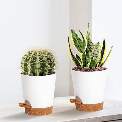 4 inch Small Plant Pots for Outdoor Indoor Plants, 10 Pack Planters with Drainage Holes and Tray, Small Self Watering Pots for Succulent,Cactus, Aloe and Other Plants. (White)
