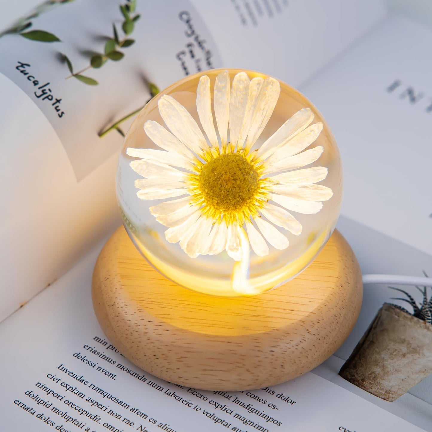 MARZIUS Flower Crystal Ball Night Light,2.75 inch Glass Ball Night Lamp with Woodern Base (Leucanthemum)