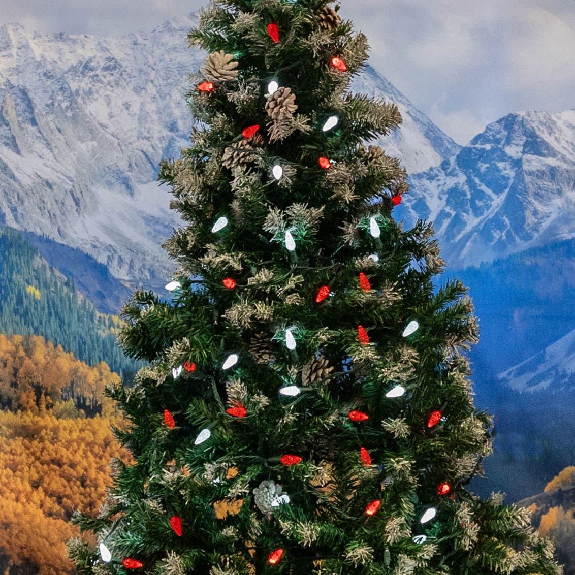 Novelty Lights 24FT 70 LED C6 Christmas String Lights, Outdoor Commercial Grade Tree Decorations, Permanent LED Lights (Red/Pure White)