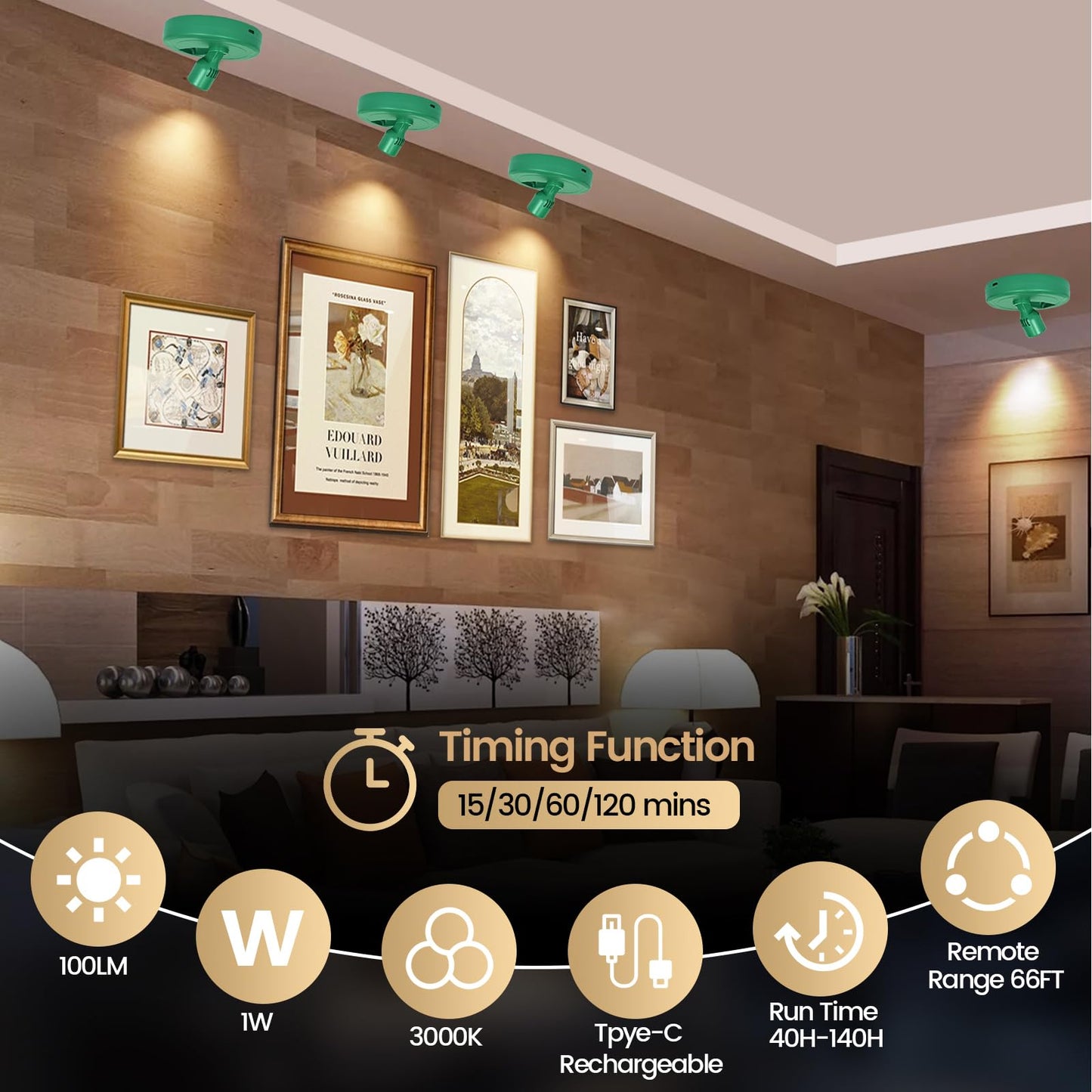 HAMVIDNE LED Spotlight, Rechargeable Battery Picture Lights, Uplighting Indoor, Spot Light with Remote, Plant Tree & Wall Art Display Dartboard Closet Spotlight-Green