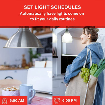 Sengled WiFi Light Bulb - Smart Bulbs That is Compatible with Google Assistant, A19 Daylight (5000K) - No Hub Required, 800LM 60W High CRI)60 Equivalent, 4 Count (Pack of 1)