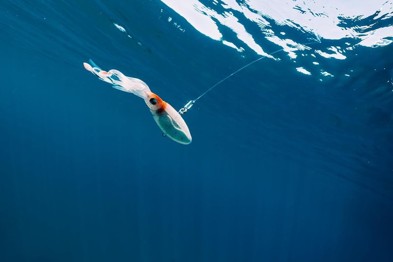 Nomad Design Squidtrex Vibrating Fishing Lure - TPE Soft Plastic Bait for Saltwater Fishing | Strong BKK Assist Hooks