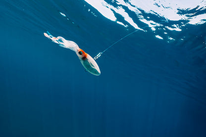 Nomad Design Squidtrex Patented Vibrating Fishing Lure- Scent Added TPE Soft Plastic Lure for Saltwater w/Strong BKK Assist Hooks, Fishing Bait that Catches Many Species, 95mm, 3 3/4", 1oz- Cali Red