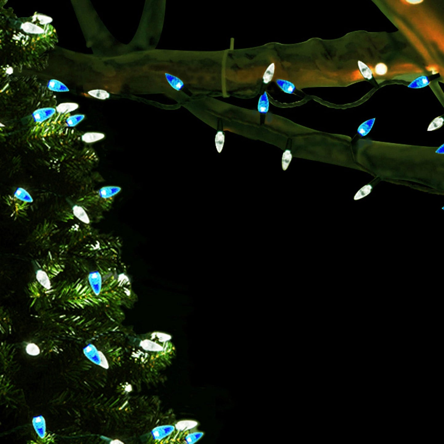 MXTCLM C6 Christmas Lights 50 LED Blue + Cool White Strawberry 18ft Waterproof String Lights for Outdoor Indoor Garden Yard Home Party Christmas Tree Decoration(Blue+Cool White)