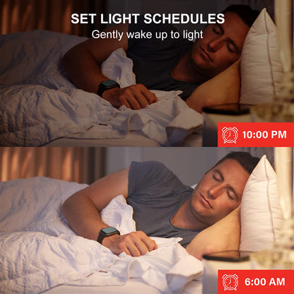 Sengled Smart Light Bulbs, Retro WiFi Light Bulbs, Vintage Filament Led light Bulbs, Smart Edison Bulbs That Work with Alexa & Google, ST19 Led Bulb 60 Watt Equivalent, 2000K E26 No Hub Required,4Pack