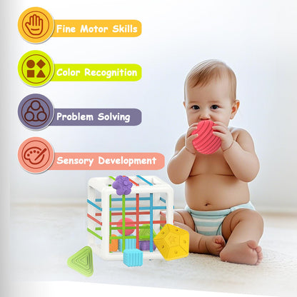 MINGKIDS Montessori Toys for 1 Year Old, 6 Pc Multi Sensory Shape, Toddler Developmental Learning Birthday Gifts, Baby Toys 12 Month