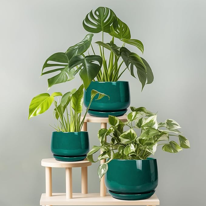 G EPGardening Ceramic Planter for Indoor Plants - 7 Inch Plant Pot, Round Planter with Drainage and Saucer, Round Flower Pots for Outdoor, Modern Desk Decor, Gift for Women Men, Green