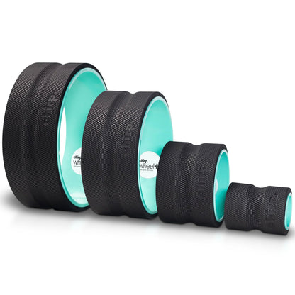 Chirp Wheel Foam Roller – Targeted Back & Neck Relief, Lumbar Spine Stretcher, Spinal Decompression Back Stretcher, Massage Roller with Density Foam for Physical Therapy, Supports 500lbs, 2-Inch Mint