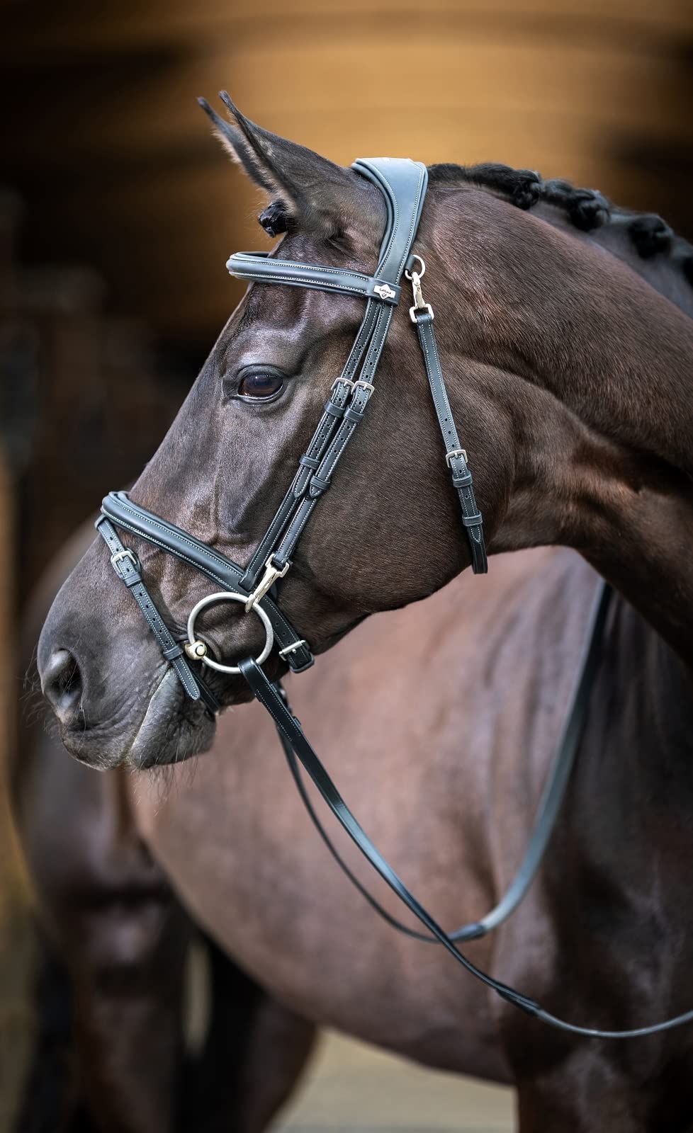 LeMieux Kudos Work Bridle - Black - Full