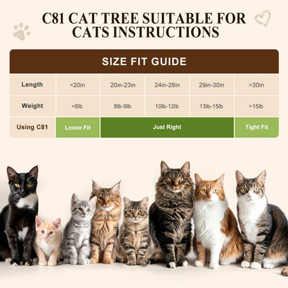 Globlazer Artistic Curved Cat Tower for Small Cats (Under 12 lbs), 81-inch Slim Design Cat Tree with Space-Saving Design, Indoor Cat Condo with Hammock & Tunnel, C81, Dark Gray, Non-Large Cats