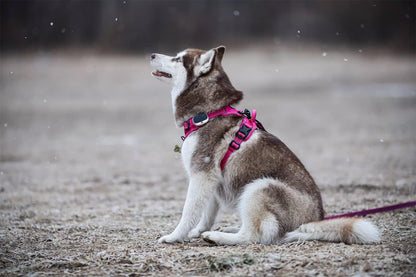 TRUE LOVE Adjustable No-Pull Dog Harness Reflective Pup Vest Harnesses Comfortable Control Brilliant Colors Truelove TLH5651(Fushcia,L)