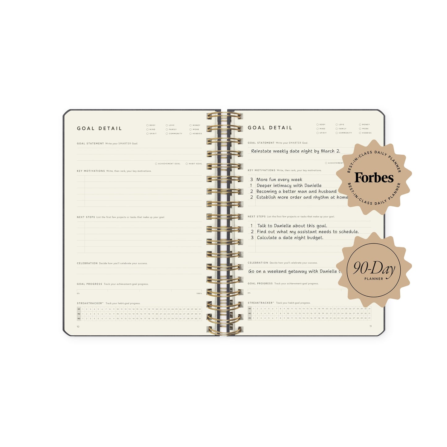 Full Focus Leather Coil Planner by Michael Hyatt - The #1 Daily Planner to Set Annual Goals, Increase Focus, Eliminate Overwhelm, and Achieve Your Biggest Goals - Hardcover (Gray)