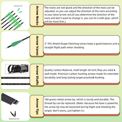 SOPOGER Archery Arrows for Compound Bow and Arrow Quiver Holder Tube, 31 Inch Arrows Practice Arrows for Recurve Bow 12 Packs, 500 Spine Hunting Arrows Carbon Fiber Target Arrow Accessories (Green)