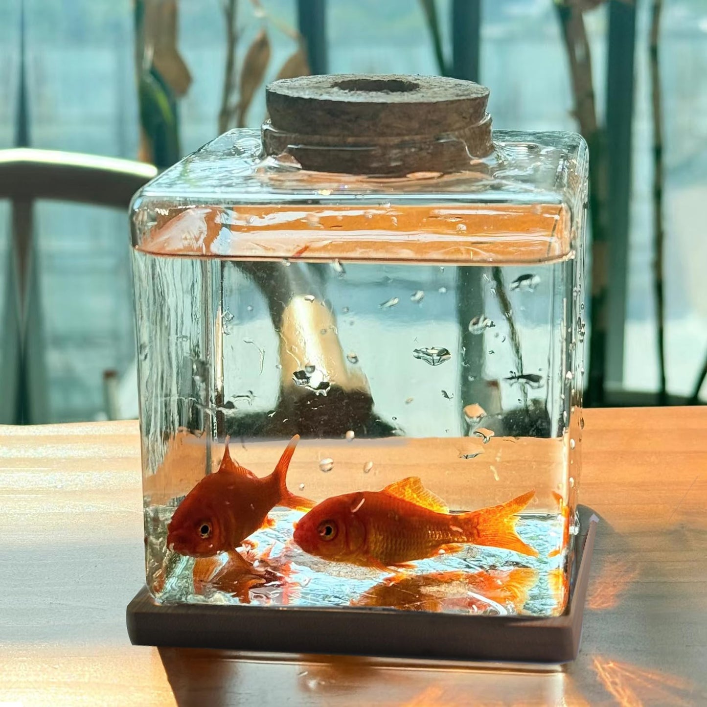 Desktop Betta Fish Tank with Wood Lid and Bamboo Stand Small Fish Bowl Glass for Beta Fish Hydroponic Plant Terrarium Aquarium Starter Kit 0.5 Gallon
