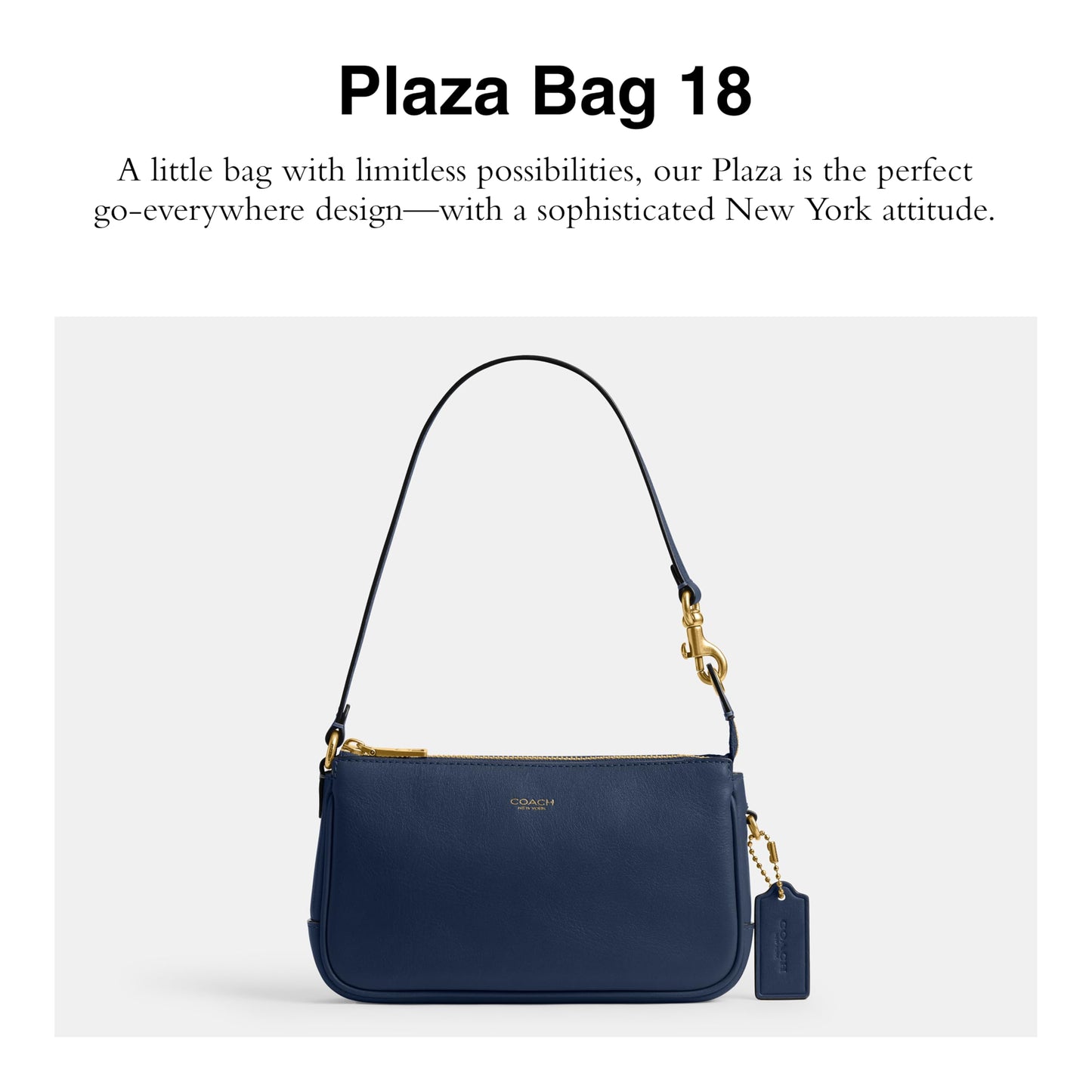 COACH Natural Grain Leather Plaza Bag 18