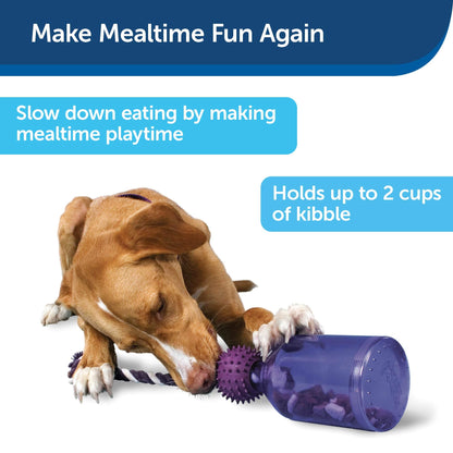 PetSafe Busy Buddy Tug-A-Jug Dog Toy – Slow Feeder and Trainer – Small