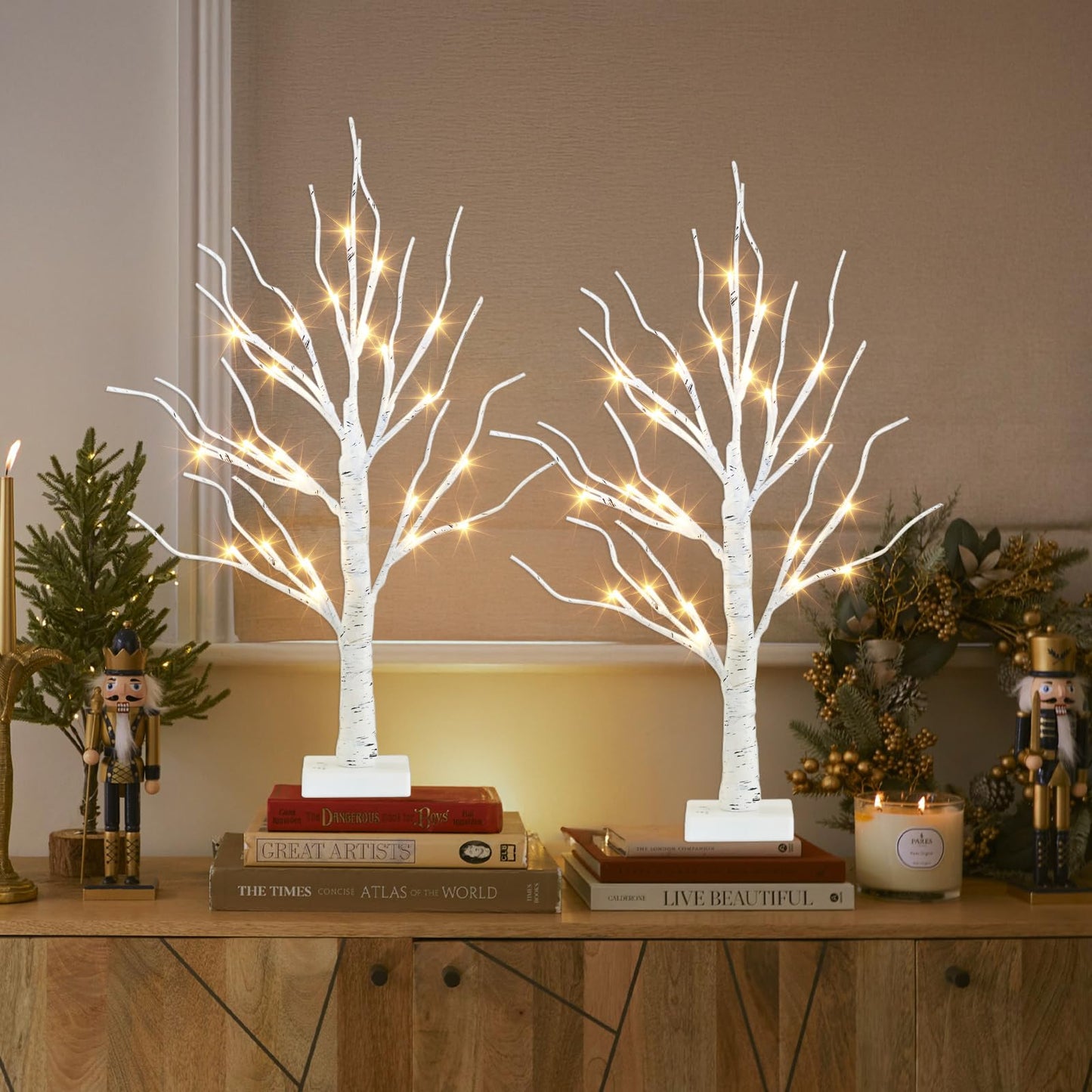 PEIDUO Home Decor, 2FT Birch Tree with LED Lights, Warm White Light up Tree Lamp, Artificial Trees for Home Table Inside, Battery Powered, Timer (2PK)