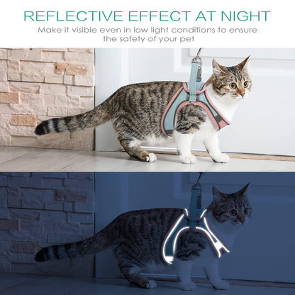 ORIA Pet Harness, Dog Harness, Cat Harness and Leash Set, Breathable Pet Vest, Reflective Strips Jacket for Small Kitten, Puppy, Rabbit, Pink and Blue, 6.6 to 11lb